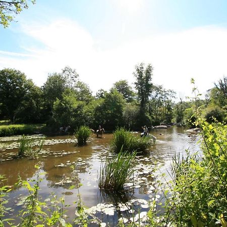 Logis De L'Aubonniere Hotel Chaille-sous-les-Ormeaux Bagian luar foto